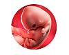 gravid uke 8 menssmerter shemale dvd gravid uke 8 menssmerter shemale dvd